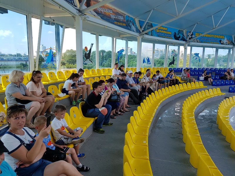 Гости и волонтеры Центра БОКК "Открытый дом" на шоу-программе дельфинов